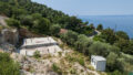DJI_0963