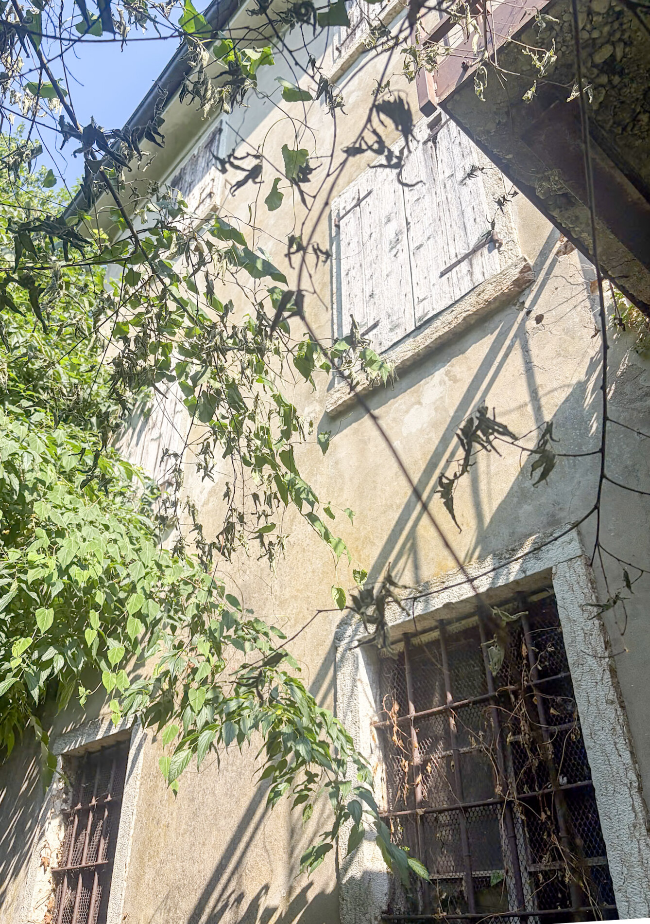Property Photo (9322)