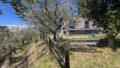 24-IMG_0642