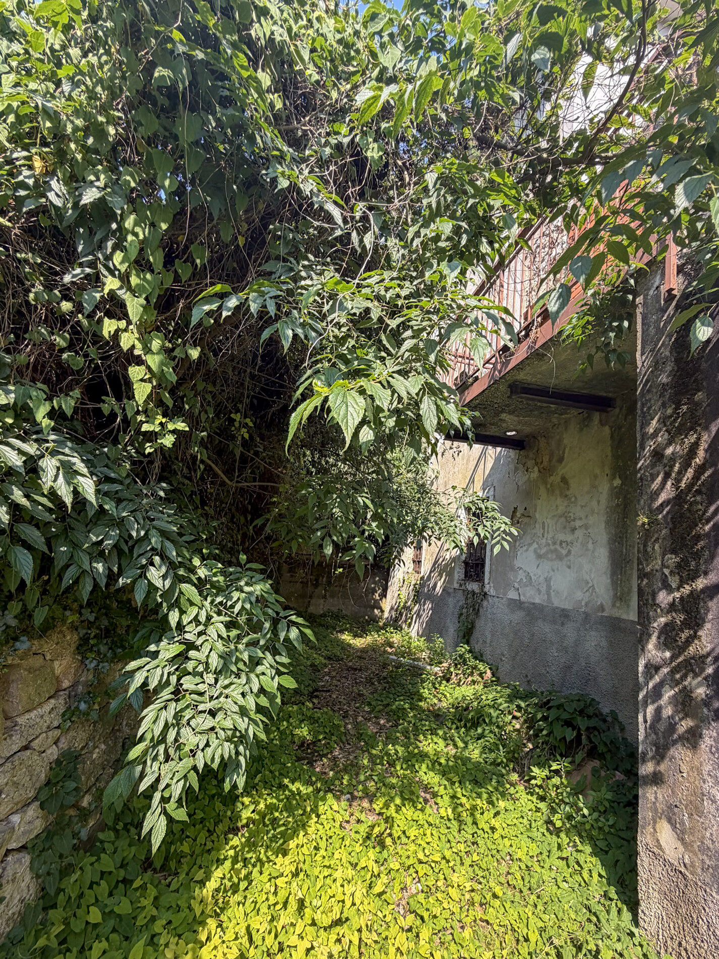 Property Photo (9325)