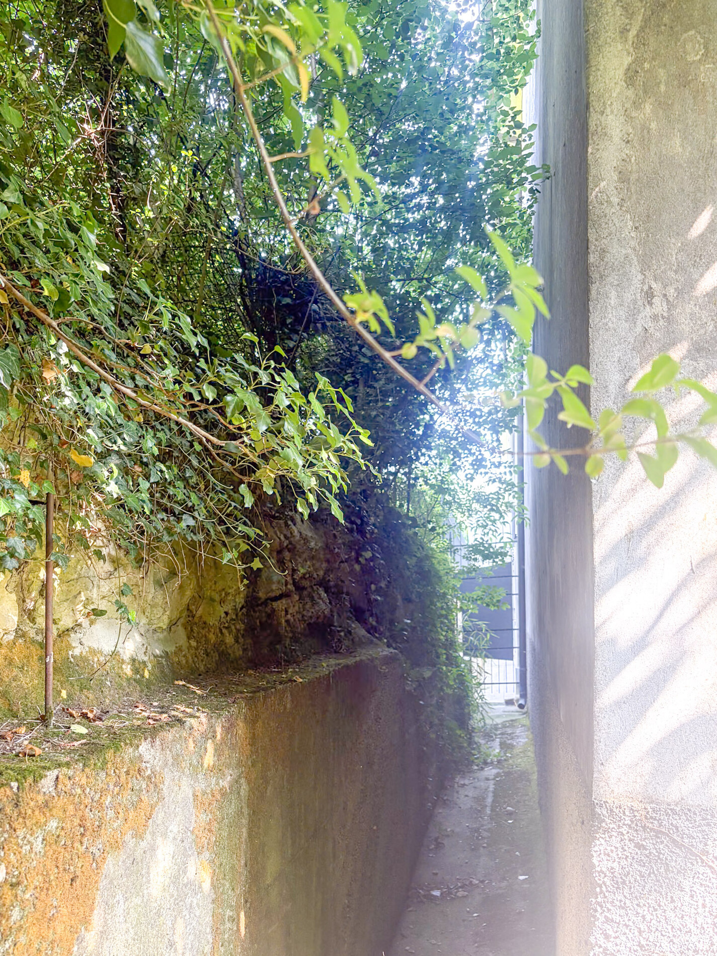 Property Photo (9323)