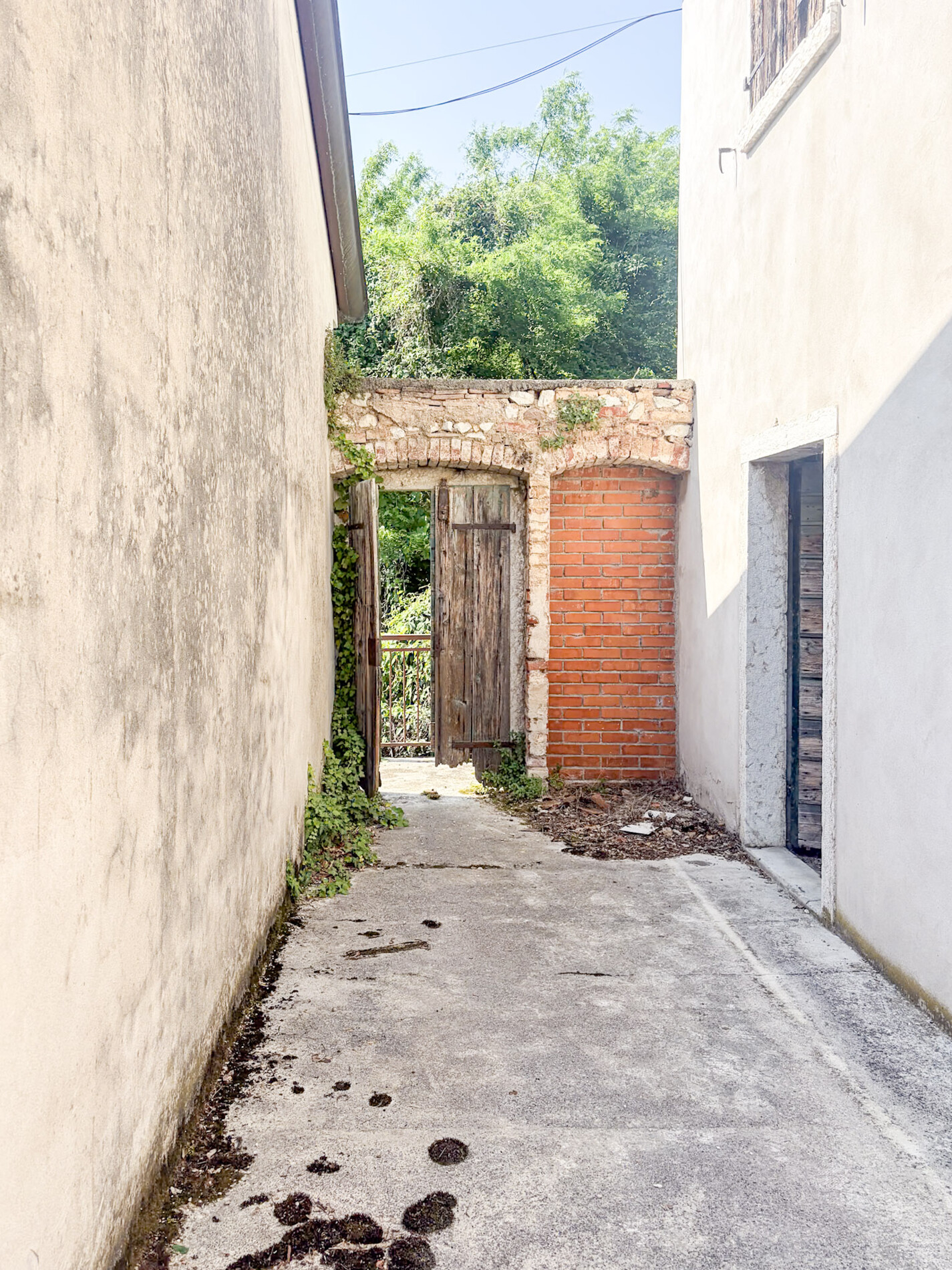 Property Photo (9310)