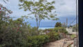 Property Photo (8178)