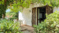 Property Photo (10002)