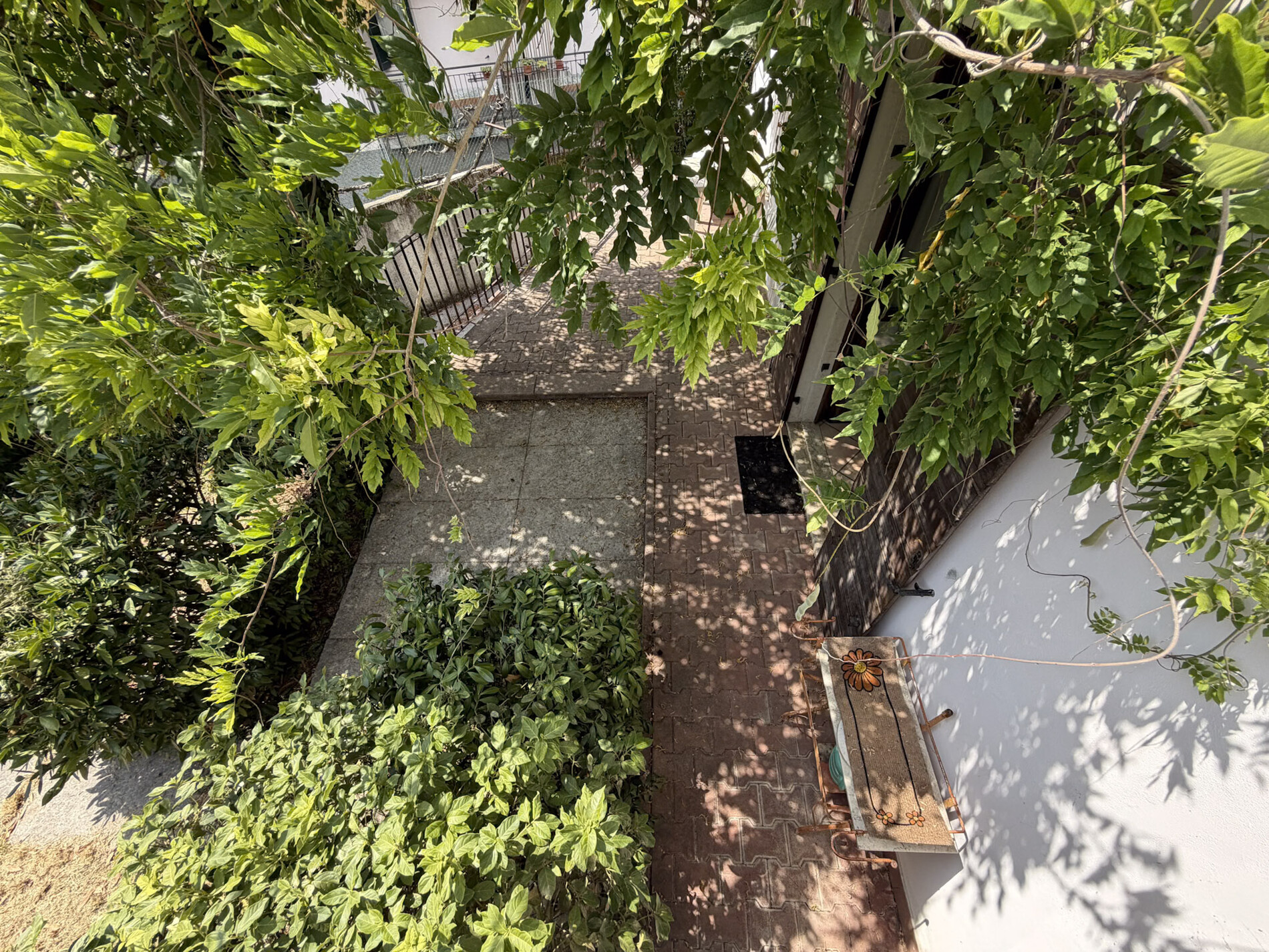 Property Photo (10011)