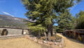 Property Photo (10160)