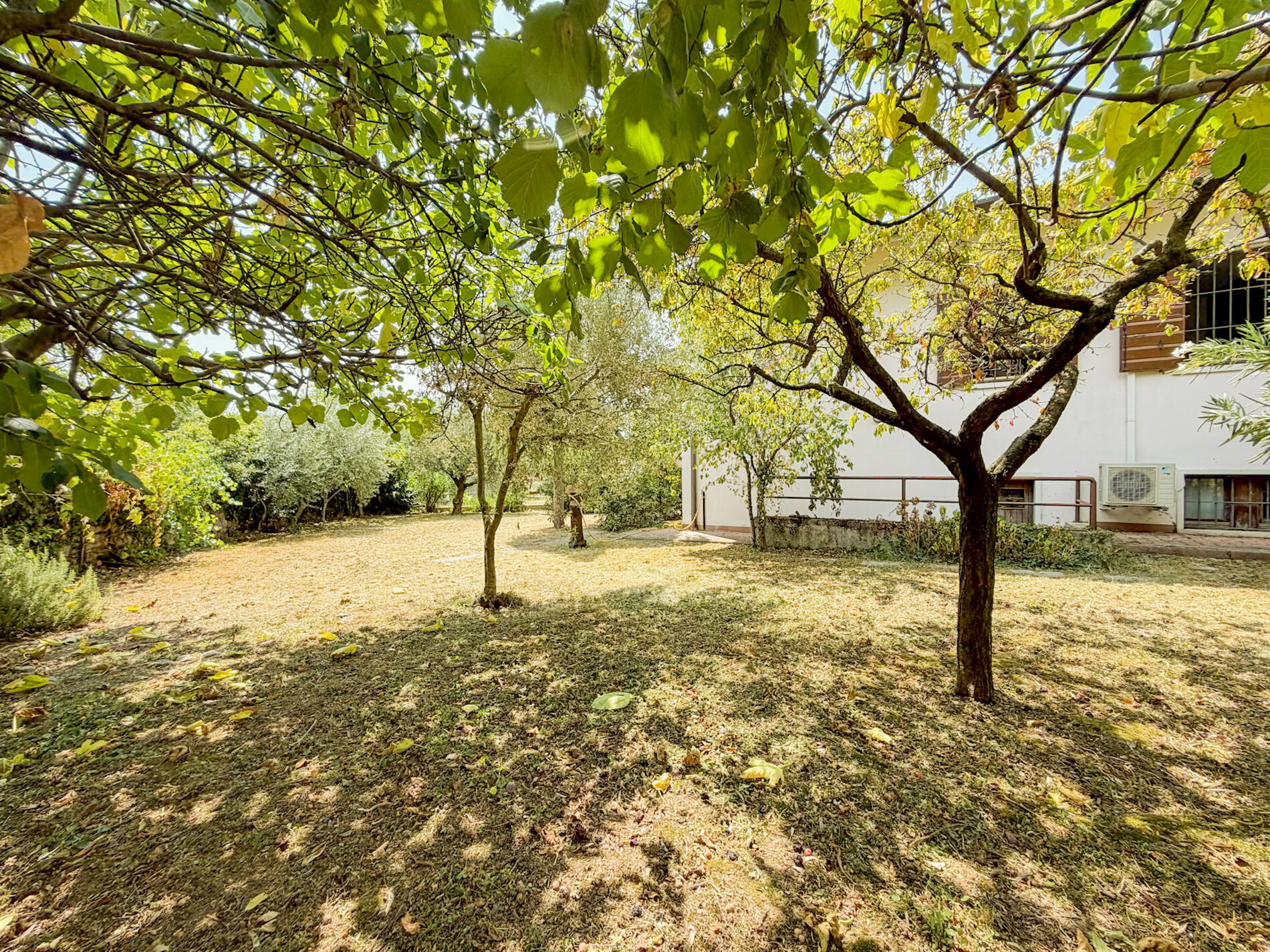 Property Photo (9979)