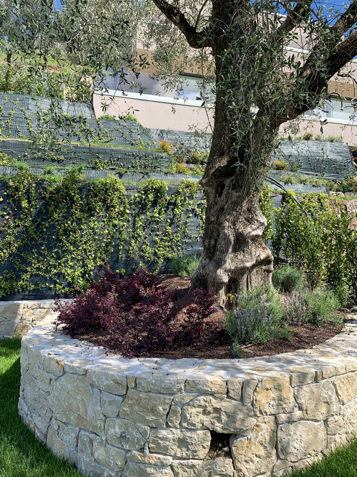 Property Photo (9830)