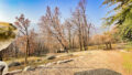 Property Photo (10185)