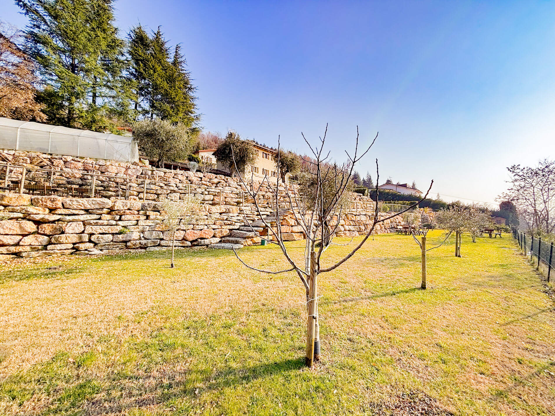 Property Photo (10107)