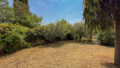 Property Photo (9961)