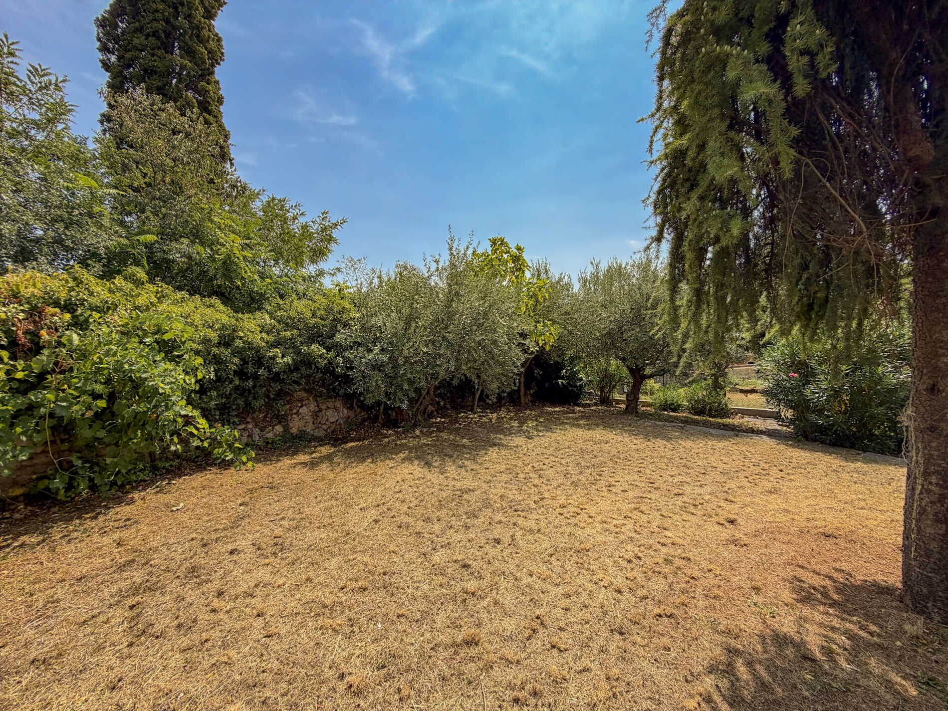 Property Photo (9961)