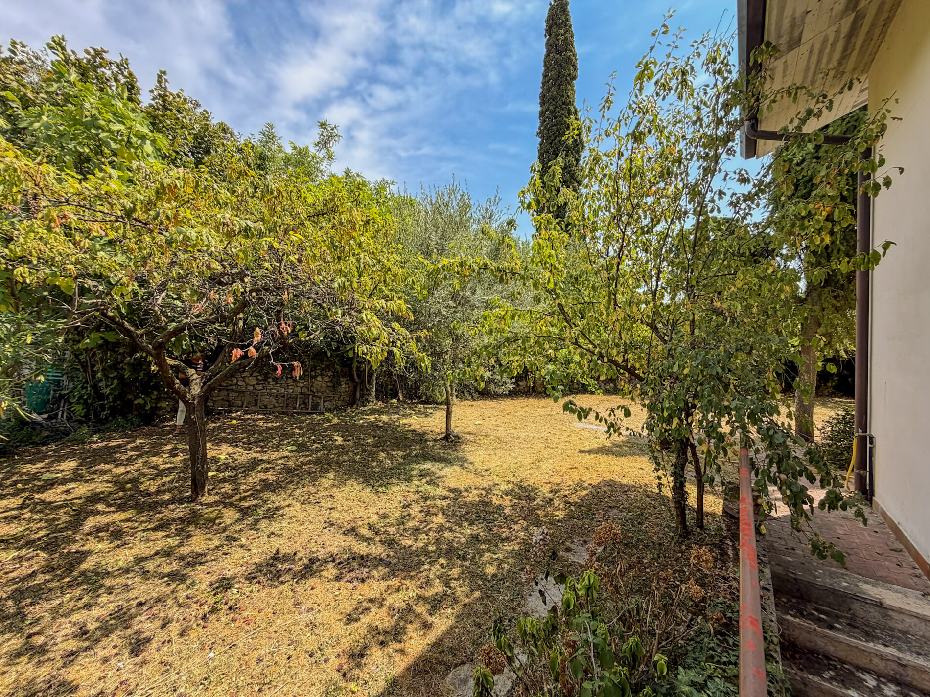 Property Photo (10044)