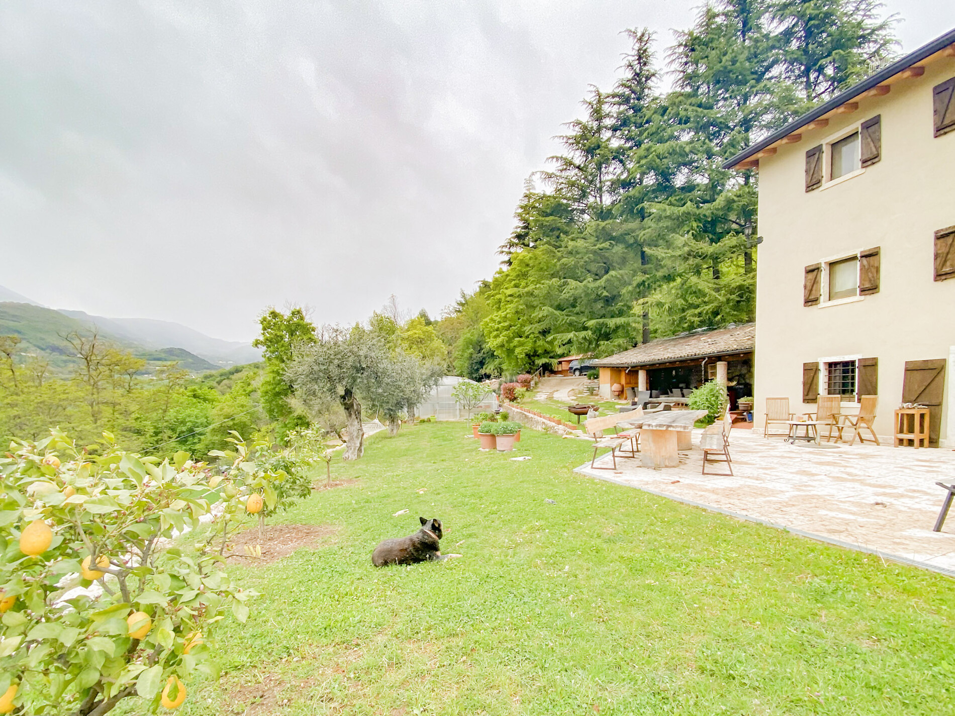 Property Photo (10099)