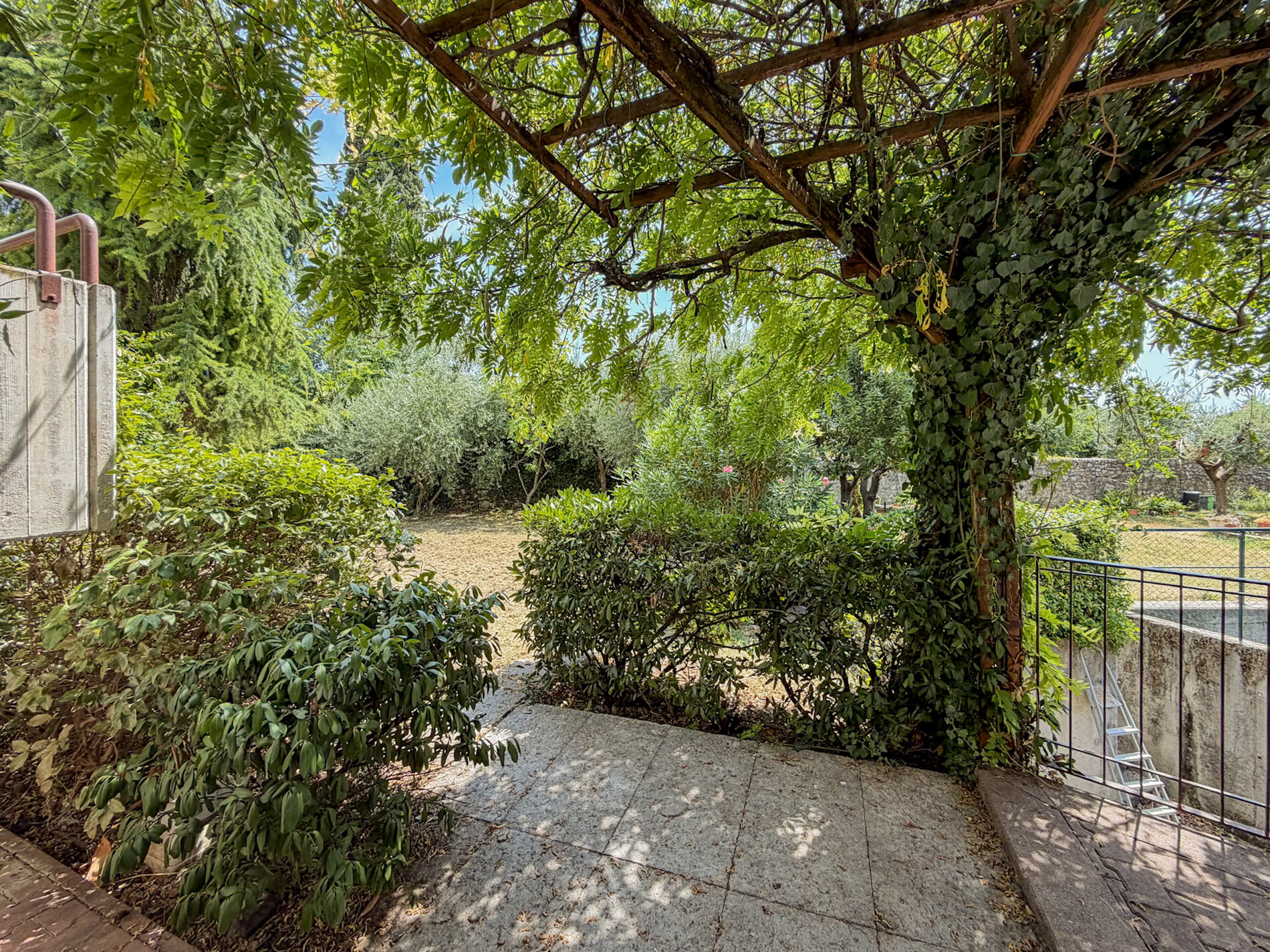 Property Photo (9934)