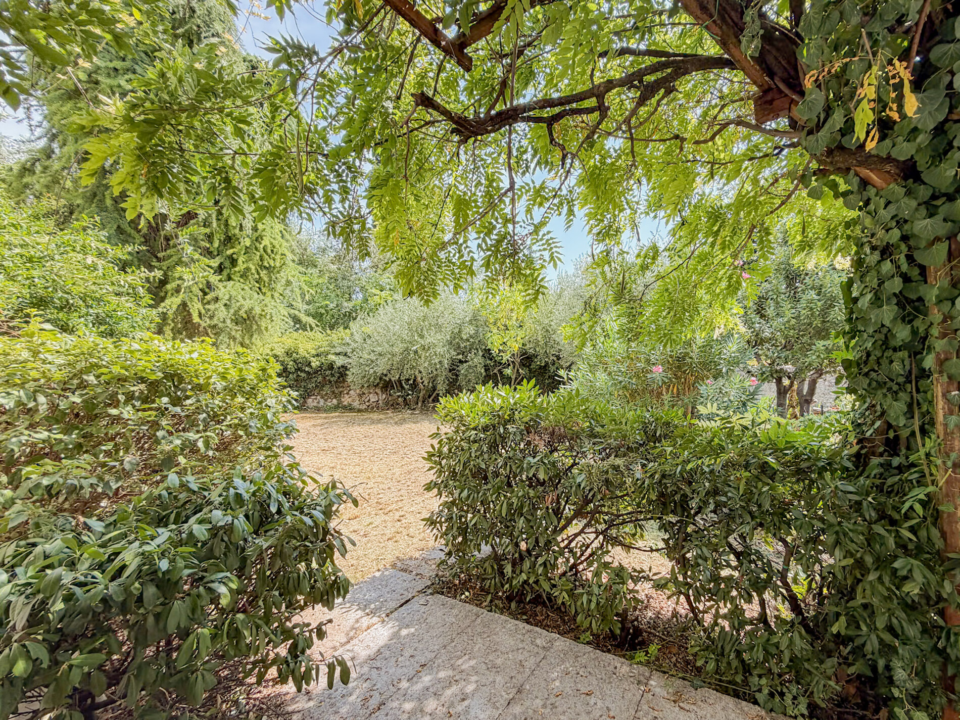 Property Photo (10041)
