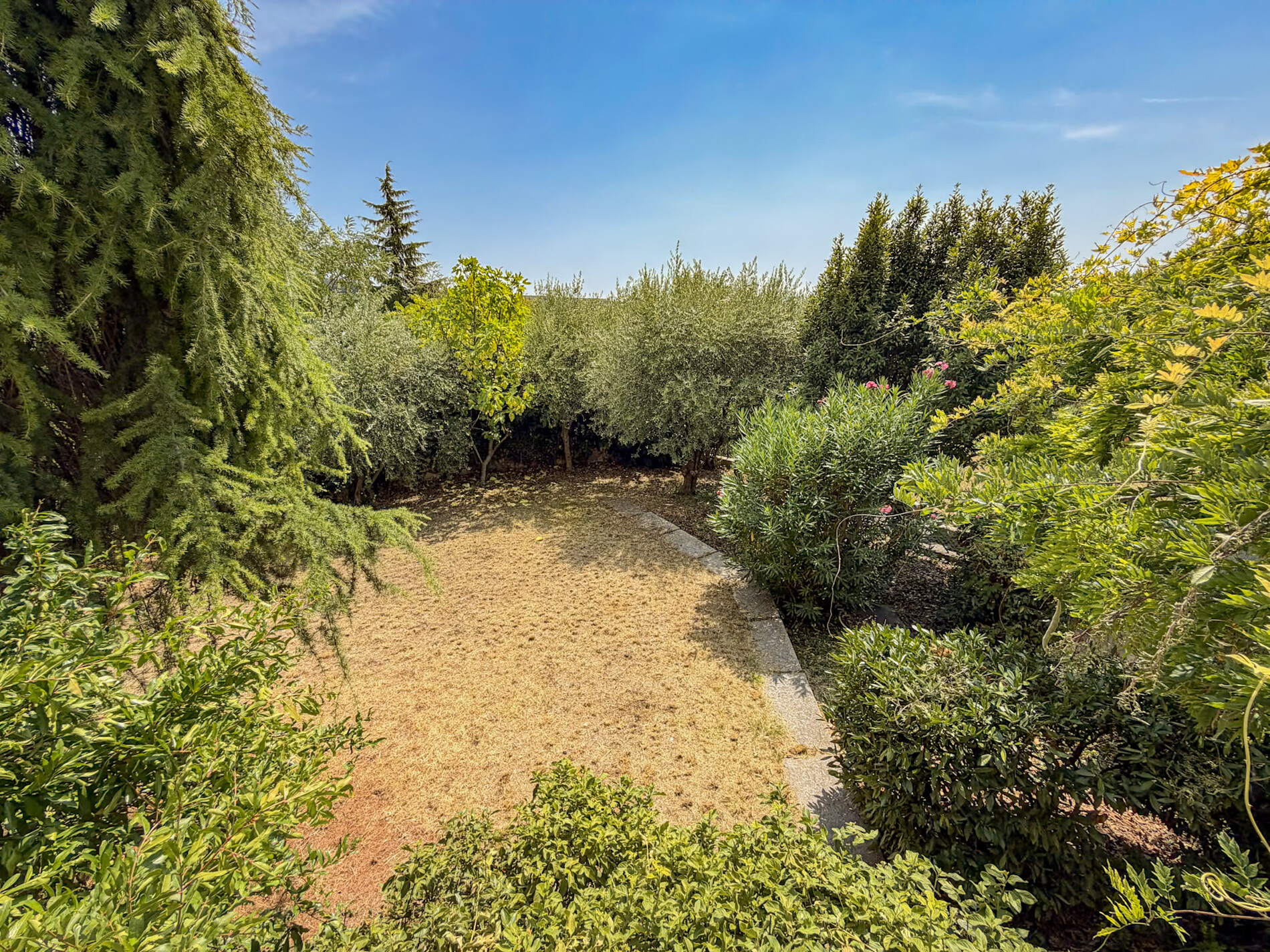Property Photo (10010)