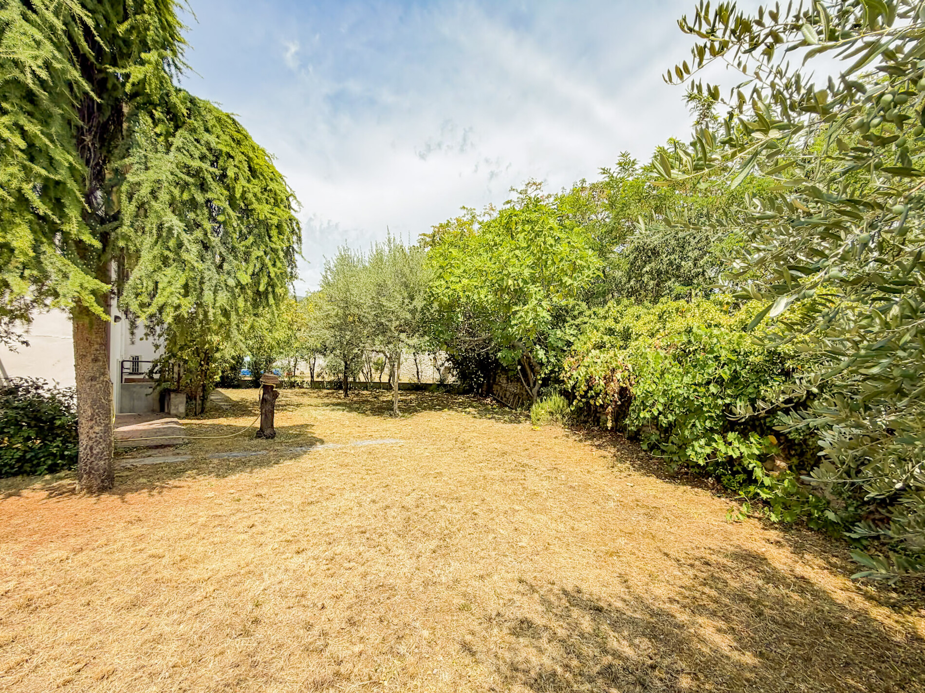 Property Photo (9955)