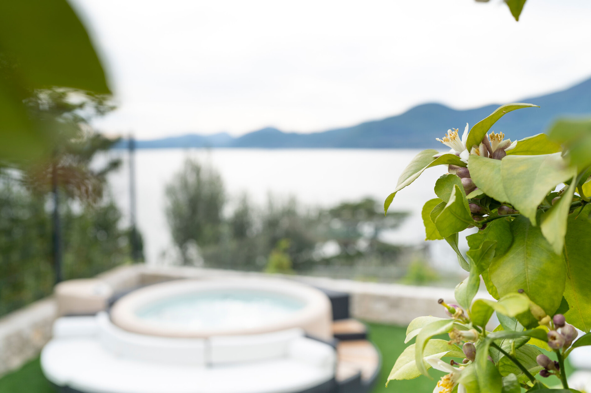 Property Photo (9819)
