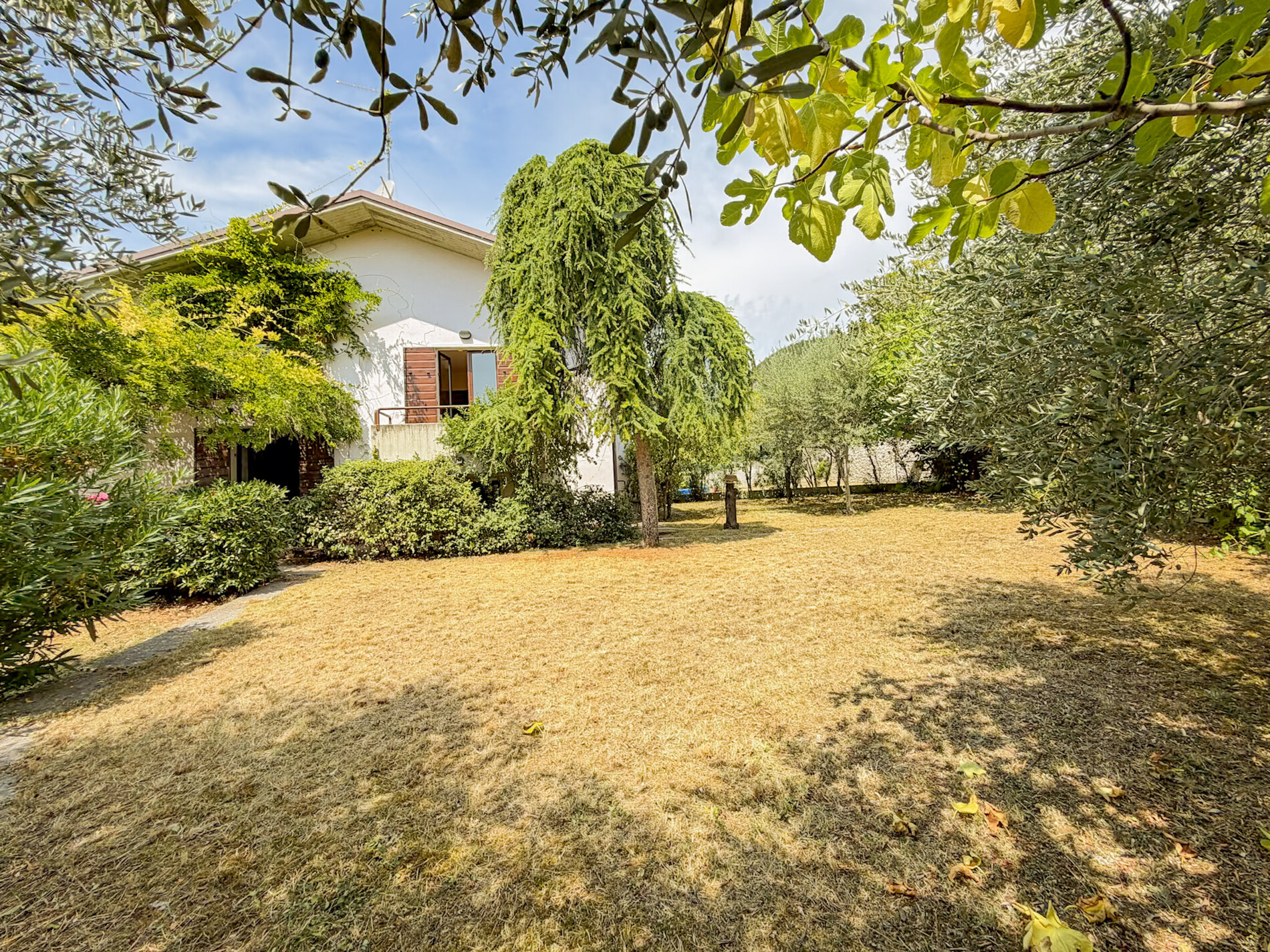 Property Photo (10020)