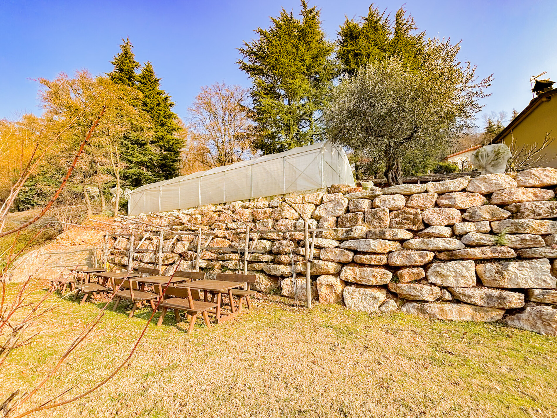 Property Photo (10102)